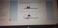 Materials
Updates
The illustration below shows the lac operon used in E.coli. Explain what s
happening in the bottom picture. *
Grades
Members
O Conferences
DBQ Online
Newsela
nformation
P Blology Periods 1 and 2
rading periods
ghschool MP1, HIighschool
P2, Highschool MP3,
ghschool MP4
cation
eting days
n Tue Wed Thu Fri
INTL O
