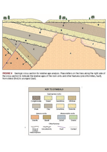 D
}
FIGURE 9 Geologic cross section for relative age analysis. Place letters on the lines along the right side of
the cross section to indicate the relative ages of the rock units and other features (unconformities, fault),
from oldest (first) to youngest (ast)
Conglomerate
Shake
Grante
KEY TO SYMBOLS
Sedimentary rocks
Igneous rocks
Zone of
contact
metamorphem
Gravel
Clay
Sandstone
Unconformity
Limestone
Other features
Schist
Satstone
Metamorphic rocks
Fault
Dolomite
Gneiss
K
Contact