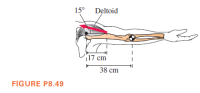 15° Deltoid
17 cm
38 cm
FIGURE P8.49
