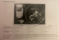 A. Magnesium and Oxygen
PYREX
Magnesium oxide
Magnesium
reactant 1
reactant 2
product
->
2Mg(s)
chemical reaction:
02(9)
2 Mg0(s)
+
(don't forget phase notation!)
appearance of reactants
and products:
solid
gas
solid
->
when Mg treated with Oxygen, adazzlingwhite Flame
appearance which iS the evidence For the Formation OF MaD
evidence of reaction
type of reaction:
combination reaction
