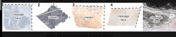 cleavage
face
Fios
7 and
29200
uneven
3
I
uneven
the
4
under the corresponding photograph(s).
ving two
cleavage
face
5
cleavage
face