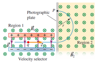 P
Photographic
plate
Region 1
+ + + + + + +
Region 2
Velocity selector
