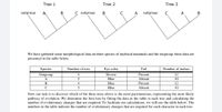 Tree 1
Tree 2
Tree 3
outgroup
В
C outgroup
В
outgroup
A
В
We have gathered some morphological data on three species of mythical mammals and the outgroup; these data are
presented in the table below.
Species
Number of toes
Eye color
Tail
Number of molars
Outgroup
4
Brown
Present
12
A
Blue
Absent
10
B
Blue
Present
12
C
5
Blue
Absent
10
Now our task is to discover which of the three trees above is the most parsimonious, representing the most likely
pathway of evolution. We determine the best tree by fitting the data in the table to each tree and calculating the
number of evolutionary changes that are required. To facilitate our calculations, we will use the table below. The
numbers in the table indicate the number of evolutionary changes that are required for each character in each tree.
