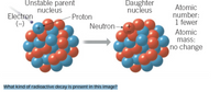 Answered: Unstable parent nucleus Daughter Atomic… | bartleby