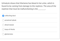 Urinalysis shows that Marianne has blood in her urine, which is
found to be coming from damage to the nephron. The area of the
nephron that must be malfunctioning is the ,
collecting duct
proximal tubule
distal tubule
loop of Henle
glomerulus
