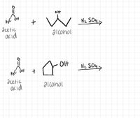 A3C OH
Hz SOy>
acetic
acid
alconol
Olf
Hz SOy>
A3C OH
dcetic
acid
alcohol
