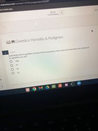 instructure.com/courses/119758/assignments/996597
ps://media.aese.
30:31
Time Remaining
Ret
AGenetics: Heredity & Pedigrees
1
1 point
Each body cell of a goldfish contains 94 chromosomes. How many chromosomes are contained
in a goldfish sex cell?
188
47
94
23
6.
N
9
