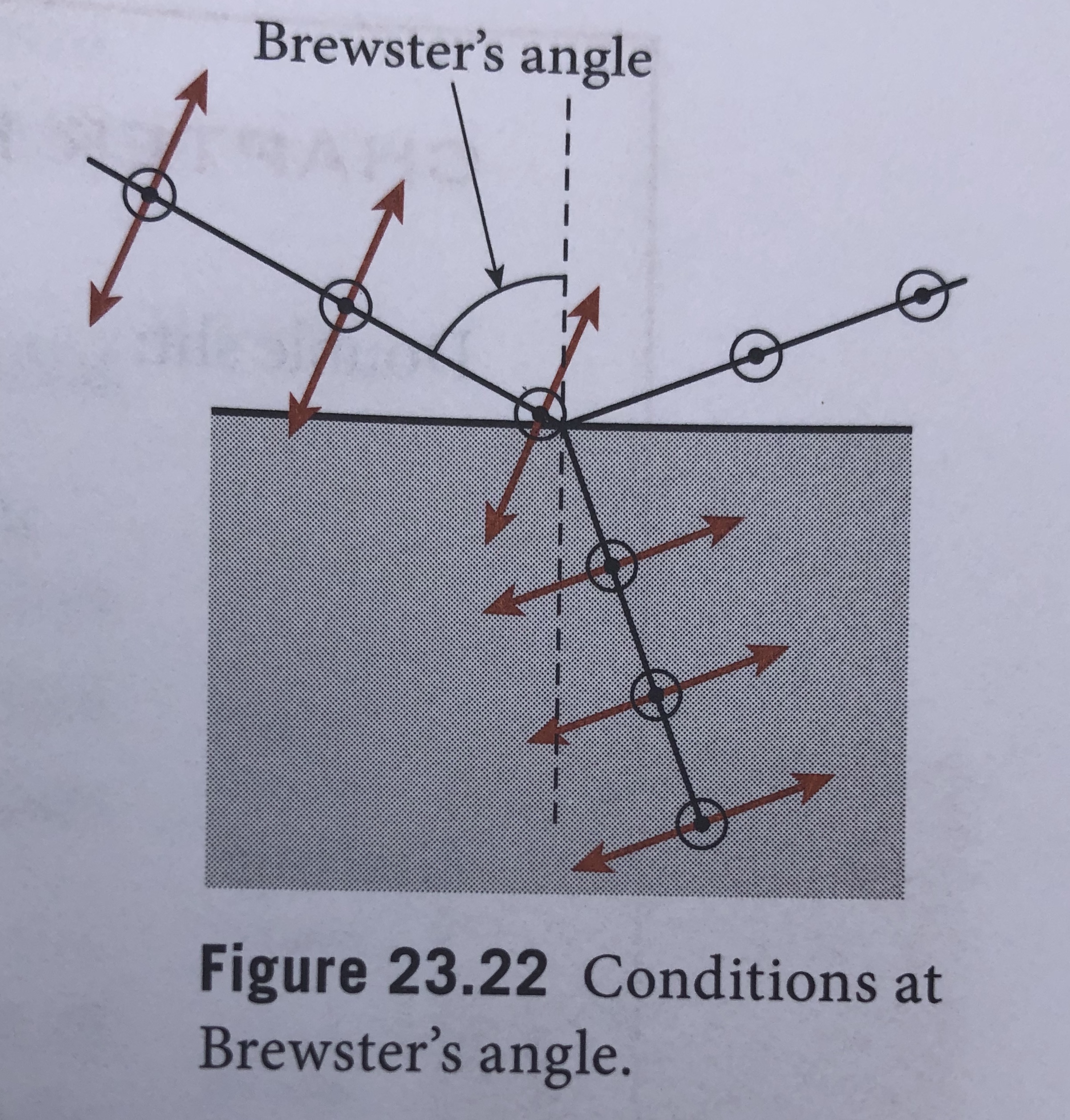 Brewster's angle
Figure 23.22 Conditions at
Brewster's angle.
