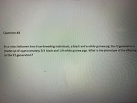 Question #3
In a cross between two true-breeding individuals, a black and a white guinea pig, the F2 generation is
of approximately 3/4 black and 1/4 white guinea pigs. What is the phenotype of the offspring
made
up
in the F1 generation?

