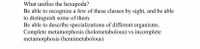 What unifies the hexapoda?
Be able to recognize a few of these classes by sight, and be able
to distinguish some of them.
Be able to describe specializations of different organisms.
Complete metamorphosis (holometabolous) vs incomplete
metamorphosis (hemimetabolous)
