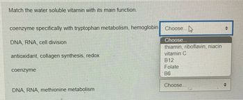 **Match the Water-Soluble Vitamin with Its Main Function**

Please select the correct vitamin from the provided dropdown list to match with each function described.

1. **Coenzyme specifically with tryptophan metabolism, hemoglobin**
   - Choose...
     - thiamin, riboflavin, niacin
     - vitamin C
     - B12
     - Folate
     - B6

2. **DNA, RNA, cell division**
   - Choose...
     - thiamin, riboflavin, niacin
     - vitamin C
     - B12
     - Folate
     - B6

3. **Antioxidant, collagen synthesis, redox**
   - Choose...
     - thiamin, riboflavin, niacin
     - vitamin C
     - B12
     - Folate
     - B6

4. **Coenzyme**
   - Choose...
     - thiamin, riboflavin, niacin
     - vitamin C
     - B12
     - Folate
     - B6

5. **DNA, RNA, methionine metabolism**
   - Choose...
     - thiamin, riboflavin, niacin
     - vitamin C
     - B12
     - Folate
     - B6

Use the dropdown menus to select the appropriate vitamin for each of the given functions.