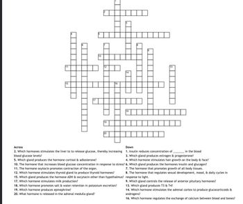 IN
ī
19
20
L
18. Which hormone promotes salt & water retention in potassium excretion?
19. Which hormone produces epinephrine?
20. What hormone is released in the adrenal medulla gland?
▬▬▬
Across
Down
in the blood
2. Which hormones stimulates the liver to to release glucose, thereby increasing 1. Insulin reduces concentration of
blood glucose levels?
3. Which gland produces estrogen & progesterone?
4. Which hormone stimulates hair growth on the body & face?
5. Which gland produces the hormone cortisol & adlosterone?
10. The hormone that increases blood glucose concentration in response to stress? 6. Which gland produces the hormones insulin and glucagon?
11. The hormone oxytocin promotes contraction of the organ.
7. The hormone that promotes growth of all body tissues.
12. Which hormone stimulates thyroid gland to produce thyroid hormones?
15. Which gland produces the hormone ADH & oxcytocin other than hypothalmus?
17. Which hormone stimulates milk production?
8. The hormone that regulates sexual development, mood, & daily cycles in
response to light.
9. Which gland controls the release of anterior pituitary hormones?
13. Which gland produces T3 & T4?
14. Which hormone stimulates the adrenal cortex to produce glucocorticoids &
androgens?
16. Which hormone regulates the exchange of calcium between blood and bones?