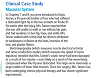 Clinical Case Study
Muscular System
In Chapters 7 and 8, you were introduced to Kayla
Tanner, a 45-year-old mother of four who had suffered
a dislocated right hip in the bus accident on Route 91.
Six weeks after the injury, Mrs. Tanner reported that
she was still unable to walk or run without hip pain,
and had weakness in her hip, knee, and ankle. Mrs.
Tanner walked with a limp that her doctors attributed
to weaknesses in flexion at the knee, inversion of the
foot, and plantar flexion.
Electromyography (which measures muscle electrical activity)
and nerve conduction studies (which measure the speed of nerve
impulses) revealed that Mrs. Tanner's sciatic nerve had been damaged
as a result of her injuries-most likely as a result of the nerve being
compressed when the hip was dislocated. This large nerve innervates a
large number of lower limb muscles. Since her surgery, Mrs. Tanner has
been undergoing intense physical therapy and has shown significant
improvement.
