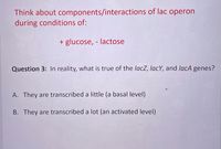 Think about components/interactions of lac operon
during conditions of:
+ glucose, - lactose
Question 3: In reality, what is true of the lacZ, lacY, and lacA genes?
A. They are transcribed a little (a basal level)
B. They are transcribed a lot (an activated level)
