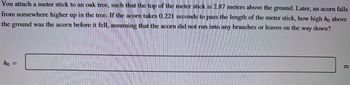 You attach a meter stick to an oak tree, such that the top of the meter stick is 2.87 meters above the ground. Later, an acorn falls
from somewhere higher up in the tree. If the acorn takes 0.221 seconds to pass the length of the meter stick, how high ho above
the ground was the acorn before it fell, assuming that the acorn did not run into any branches or leaves on the way down?
ho =
m