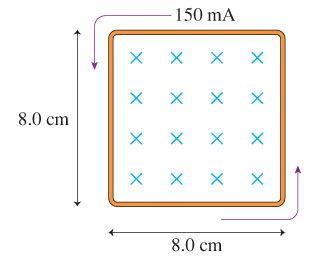 8.0 cm
×
-150 mA
×
X X X
X X X X
8.0 cm