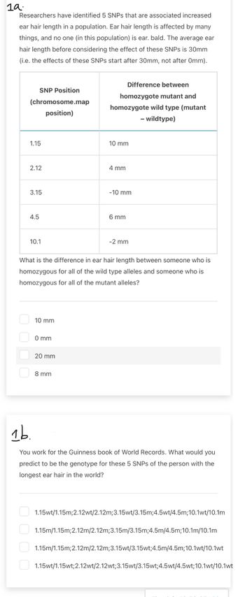 1a.
Researchers have identified 5 SNPs that are associated increased
ear hair length in a population. Ear hair length is affected by many
things, and no one (in this population) is ear. bald. The average ear
hair length before considering the effect of these SNPs is 30mm
(i.e. the effects of these SNPS start after 30mm, not after Omm).
SNP Position
(chromosome.map
position)
Difference between
homozygote mutant and
homozygote wild type (mutant
- wildtype)
1.15
10 mm
2.12
4 mm
3.15
-10 mm
4.5
6 mm
10.1
-2 mm
What is the difference in ear hair length between someone who is
homozygous for all of the wild type alleles and someone who is
homozygous for all of the mutant alleles?
10 mm
0000
0 mm
20 mm
8 mm
1b.
You work for the Guinness book of World Records. What would you
predict to be the genotype for these 5 SNPs of the person with the
longest ear hair in the world?
1.15wt/1.15m;2.12wt/2.12m;3.15wt/3.15m;4.5wt/4.5m;10.1wt/10.1m
1.15m/1.15m;2.12m/2.12m;3.15m/3.15m;4.5m/4.5m;10.1m/10.1m
1.15m/1.15m;2.12m/2.12m;3.15wt/3.15wt;4.5m/4.5m;10.1wt/10.1wt
1.15wt/1.15wt;2.12wt/2.12wt;3.15wt/3.15wt;4.5wt/4.5wt; 10.1wt/10.1wt
0000