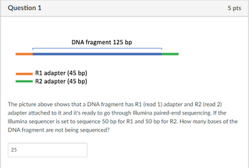 Question 1
DNA fragment 125 bp
R1 adapter (45 bp)
R2 adapter (45 bp)
5 pts
The picture above shows that a DNA fragment has R1 (read 1) adapter and R2 (read 2)
adapter attached to it and it's ready to go through Illumina paired-end sequencing. If the
Illumina sequencer is set to sequence 50 bp for R1 and 50 bp for R2. How many bases of the
DNA fragment are not being sequenced?
25
25