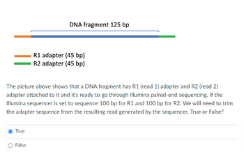 True
DNA fragment 125 bp
The picture above shows that a DNA fragment has R1 (read 1) adapter and R2 (read 2)
adapter attached to it and it's ready to go through Illumina paired-end sequencing. If the
Illumina sequencer is set to sequence 100 bp for R1 and 100 bp for R2. We will need to trim
the adapter sequence from the resulting read generated by the sequencer. True or False?
False
R1 adapter (45 bp)
R2 adapter (45 bp)