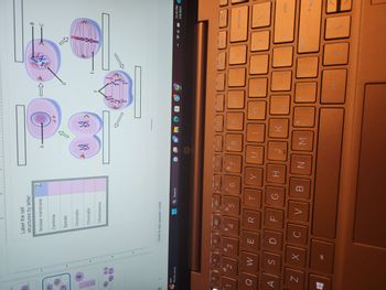 B
00
1
79°F
Mostly sunny
?
Q
A
1
Z
21
12
2
3
V
W
S
#
X
alt
13
E
D
Label the cell
structures by letter:
Nuclear membrane
1
Centriole
$
Spindle
Chromatin
Chromatid
Click to add speaker notes
4
Chromosome
*****
R
F
f5
%
AND
5
Q Search
M
f6
F
6
Y
G H
f7
&
♫+
7
一
B N
A
☆
hp
18
*
CO
J][
J
M
19
T
$
JY
le
K
H
110
DAI
mot
F
511
D
alt
E
ss
ss
insert
Ctrl
1
prt sc
pause
B
C
11:45 PM
5/9/2023
backspace
enter
T shif