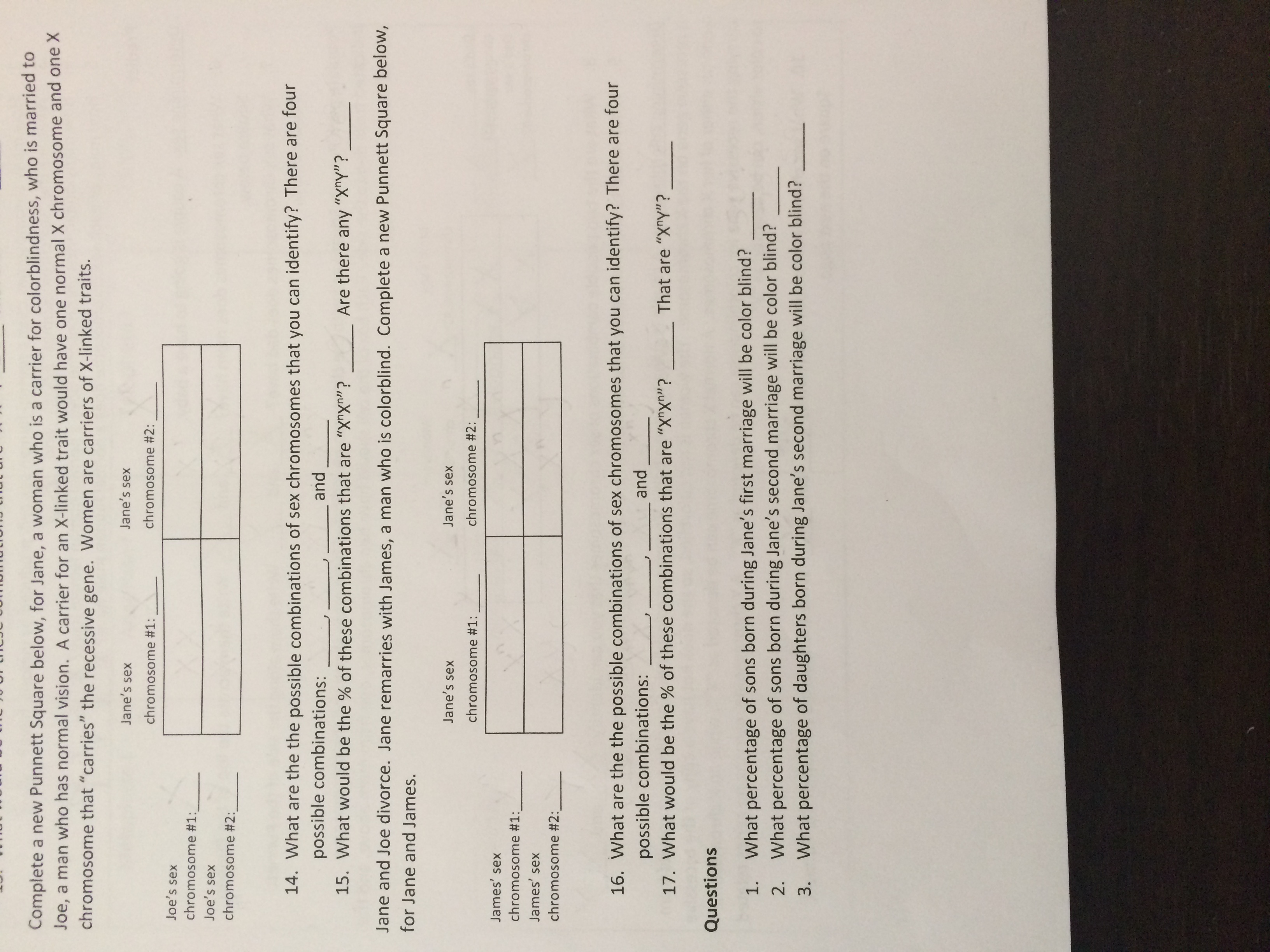 Answered: Complete a new Punnett Square below,… | bartleby