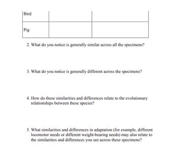 Bird
Pig
2. What do you notice is generally similar across all the specimens?
3. What do you notice is generally different across the specimens?
4. How do these similarities and differences relate to the evolutionary
relationships between these species?
5. What similarities and differences in adaptation (for example, different
locomotor needs or different weight-bearing needs) may also relate to
the similarities and differences you see across these specimens?