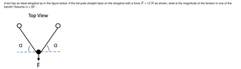 A kid has an ideal slingshot as in the figure below. If the kid pulls straight back on the slingshot with a force F = 12 N as shown, what is the magnitude of the tension in one of the
bands? Assume a = 35°.
Top View
α
F
A
α