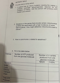 produce succinate dehydrogenase required for the
oxidation of FADH2. Will this person still produce ATP?
ACTIVITY 10.6.2
Provide what is being asked.
Explain your answer.
2 Mutations in the genes that encode certain mitochondriel
proteins are associated with a high incidence of some
type of cancer. How might defective mitochondria lead to
cancer?
3. How is cytochrome c related to apoptosis?
4. Fill in the table below
Pathway
Number of ATP produced
from one glucose molecule
Number of H carriers
produced from one
glucose molecule
NADH
FADH2
Glycolysis
Krebs
Cycle
Electron
Transport
Chain
Total ATP
Produced
