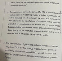 4. Which step in the glycolytic pathway would ensure that glucose
is fated for glycolysis?
5. During strenuous activity, the demand for ATP in muscle tissue is
vastly increased. In rabbit leg muscle or turkey flight muscle. the
ATP is produced almost exclusively by lactic acid fermentation
ATP is formed in the payoff phase of glycolysis by two reactions
promoted by phosphoglycerate kinase and pyruvate kinase
Suppose skeletal muscle were devoid of lactate dehydrogenase.
Could it carry out the strenuous physical activity; that is, could it
generate ATP at a high rate by glycolysis? Explain.
6. The transformation of glucose to lactate n myocytes releases
only about 7% of the free energy released when glucose is
completely oxidized to CO2 and H2O. Does this mean that
anaerobic glycolysis in muscle is a wasteful use of glucose?
Explain.
