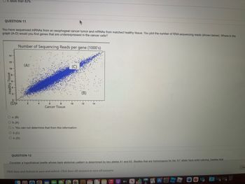 e. More than 82%
QUESTION 11
You have sequenced mRNAs from an esophogeal cancer tumor and mRNAs from matched healthy tissue. You plot the number of RNA sequencing reads (shown below). Where in the
graph (A-D) would you find genes that are underexpressed in the cancer cells?
Number of Sequencing Reads per gene (1000's)
(A)*
(B)
(D)
12
Cancer Tissue
O a. (B)
O b. (A)
O c. You can not determine that from this information.
O d. (C)
O e. (D)
QUESTION 12
Consider a hypothetical beetle whose back abdomen pattern is determined by two alleles A1 and A2. Beetles that are homozygous for the 'A1' allele have solid coloring, beetles that
Click Save and Submit to save and submit. Click Save All Answers to save all answers.
FREE FREE
A
tv
Healthy Tissue
10
14
Sav