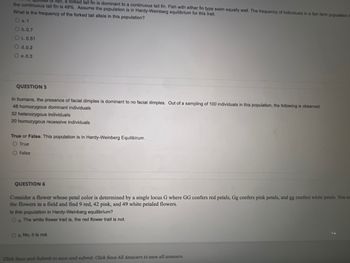 ish, a forked tail fin is dominant to a continuous tail fin. Fish with either fin type swim equally well. The frequency of individuals in a fish farm population t
the continuous tail fin is 49%. Assume the population is in Hardy-Weinberg equilibrium for this trait.
What is the frequency of the forked tail allele in this population?
O a. 1
O b.0.7
O c.0.51
O d. 0.2
O e.0.3
QUESTION 5
In humans, the presence of facial dimples is dominant to no facial dimples. Out of a sampling of 100 individuals in this population, the following is observed:
48 homozygous dominant individuals
32 heterozygous individuals
20 homozygous recessive individuals
True or False. This population is in Hardy-Weinberg Equilibirum.
O True
O False
QUESTION 6
Consider a flower whose petal color is determined by a single locus G where GG confers red petals, Gg confers pink petals, and gg confers white petals. You co
the flowers in a field and find 9 red, 42 pink, and 49 white petaled flowers.
Is this population in Hardy-Weinberg equilibrium?
O a. The white flower trait is, the red flower trait is not.
O b. No, it is not.
Click Save and Submit to save and submit. Click Save All Answers to save all answers.