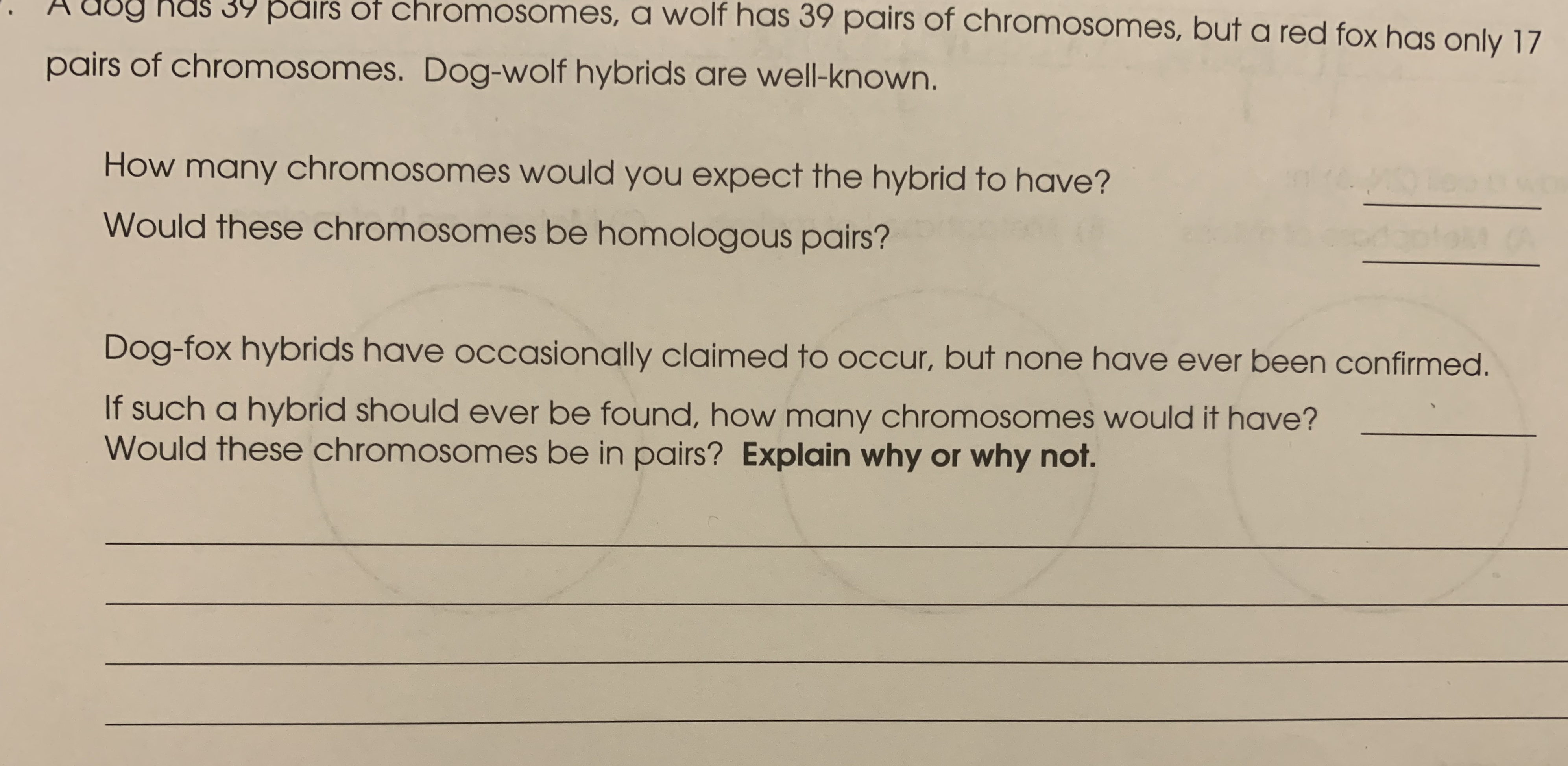 g Has 39 päirs of chromosomes, a wolf has 39 pairs of chromosomes, but a red fox has only 17
pairs of chromosomes. Dog-wolf hybrids are well-known.
How many chromosomes would you expect the hybrid to have?
Would these chromosomes be homologous pairs?
Dog-fox hybrids have occasionally claimed to occur, but none have ever been confirmed.
If such a hybrid should ever be found, how many chromosomes would it have?
Would these chromosomes be in pairs? Explain why or why not.
