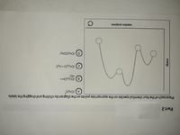 # Energy Diagram Transcription and Explanation

## Description

### Graph Explanation
The image depicts an energy diagram that tracks the progress of a chemical reaction. The graph is plotted with "Reaction Progress" on the x-axis and "Energy" on the y-axis, illustrating how the energy changes as the reaction proceeds.

### Key Features
1. **Energy Profile Curve**: The diagram shows a curve with multiple peaks and troughs, representing the energy states of the reaction as it progresses from reactants to products.
  
2. **Labelled Points**:
   - **A**: (CH₃)₃C·
   - **B**: (CH₃)₃COH + H·
   - **C**: (CH₃)₃C + ·OH/HO²·
   - **D**: ·HO(CH₃)₃C

### Activity
- Task: Place each of the four chemical species on the diagram by dragging and arranging the labels appropriately.

This graph is intended to help students understand the energetic changes during chemical reactions and visualize stable and transitional states.