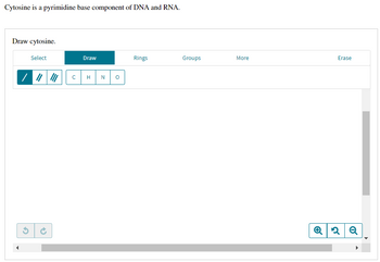 Cytosine is a pyrimidine base component of DNA and RNA.
Draw cytosine.
Select
/
с
Draw
H N
O
Rings
Groups
More
Erase
Q2 Q