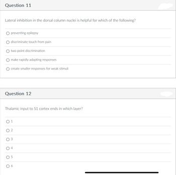 **Question 11**

Lateral inhibition in the dorsal column nuclei is helpful for which of the following?

- O preventing epilepsy
- O discriminate touch from pain
- O two point discrimination
- O make rapidly adapting responses
- O create smaller responses for weak stimuli

**Question 12**

Thalamic input to S1 cortex ends in which layer?

- O 1
- O 2
- O 3
- O 4
- O 5
- O 6