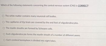 Which of the following statements concerning the central nervous system (CNS) is CORRECT?
The white matter contains many neuronal cell bodies.
O The capillaries of the brain are covered by the end feet of oligodendrocytes.
O The myelin sheaths are formed by Schwann cells.
O Each oligodendrocyte forms the myelin sheath of a number of different axons.
O Each cerebral hemisphere is divided into eight lobes.