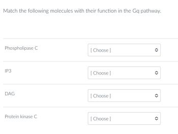 **Activity: Match Molecules with Their Functions in the Gq Pathway**

Below, you will find a list of molecules involved in the Gq signaling pathway. Your task is to match each molecule with its corresponding function by selecting the appropriate option from the dropdown menu.

1. **Phospholipase C**
   - [ Choose ]

2. **IP3**
   - [ Choose ]

3. **DAG**
   - [ Choose ]

4. **Protein kinase C**
   - [ Choose ]

Each molecule plays a specific role in cellular signaling, contributing to various physiological responses. Select from the dropdown to test your understanding of their functions within the Gq pathway.