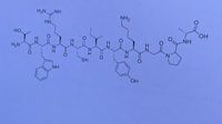 H2N.
NH
NH2
HN.
HO.
CHO,
NH
H.
H.
H2N
N.
H
N.
SH
NH
HO,
ZI
IZ
