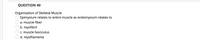 QUESTION 40
Organization of Skeletal Muscle
Epimysium relates to entire muscle as endomysium relates to
a. muscle fiber
b. myofibril
c. muscle fasciculus
d. myofilaments
SOOOO0
