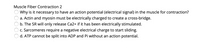 Muscle Fiber Contraction 2
Why is it necessary to have an action potential (electrical signal) in the muscle for contraction?
a. Actin and myosin must be electrically charged to create a cross-bridge.
b. The SR will only release Ca2+ if it has been electrically stimulated.
c. Sarcomeres require a negative electrical charge to start sliding.
d. ATP cannot be split into ADP and Pi without an action potential.
