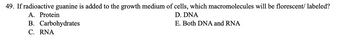 49. If radioactive guanine is added to the growth medium of cells, which macromolecules will be florescent/ labeled?
D. DNA
E. Both DNA and RNA
A. Protein
B. Carbohydrates
C. RNA