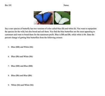 Bio 101
Say a rare species of butterfly has two versions of color called blue (B) and white (b). You want to repopulate
the species for the wild, but also breed and sell them. You find the blue butterflies are the most appealing to
customers and want to breed them for the maximum profit. Blue is BB and Bb, while white is bb. State the
percent change of getting blue butterflies from the following crosses:
5. Blue (BB) and White (bb)
6. Blue (Bb) and White (bb)
7. Blue (BB) and Blue (BB)
8. Blue (Bb) and Blue (Bb)
Name:
9. White (bb) and White (bb)