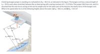 A 66.8-kg bungee jumper is standing on a tall platform (ho = 48.2 m), as indicated in the figure. The bungee cord has a natural length of
Lo = 10.0 m and, when stretched, behaves like an ideal spring with a spring constant of k = 51.0 N/m. The jumper falls from rest, and it is
assumed that the only forces acting on him are his weight and, for the latter part of the descent, the elastic force of the bungee cord.
What is his speed when he is at the following heights above the water: (a) ha = 38.2 m, and (b) hg = 14.5 m?
-A
Lo =10.0 m
ho =48.2 m
hA = 38.2 m
hp =14.5 m
