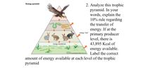 Answered: Energy pyramid 2. Analyze this trophic… | bartleby