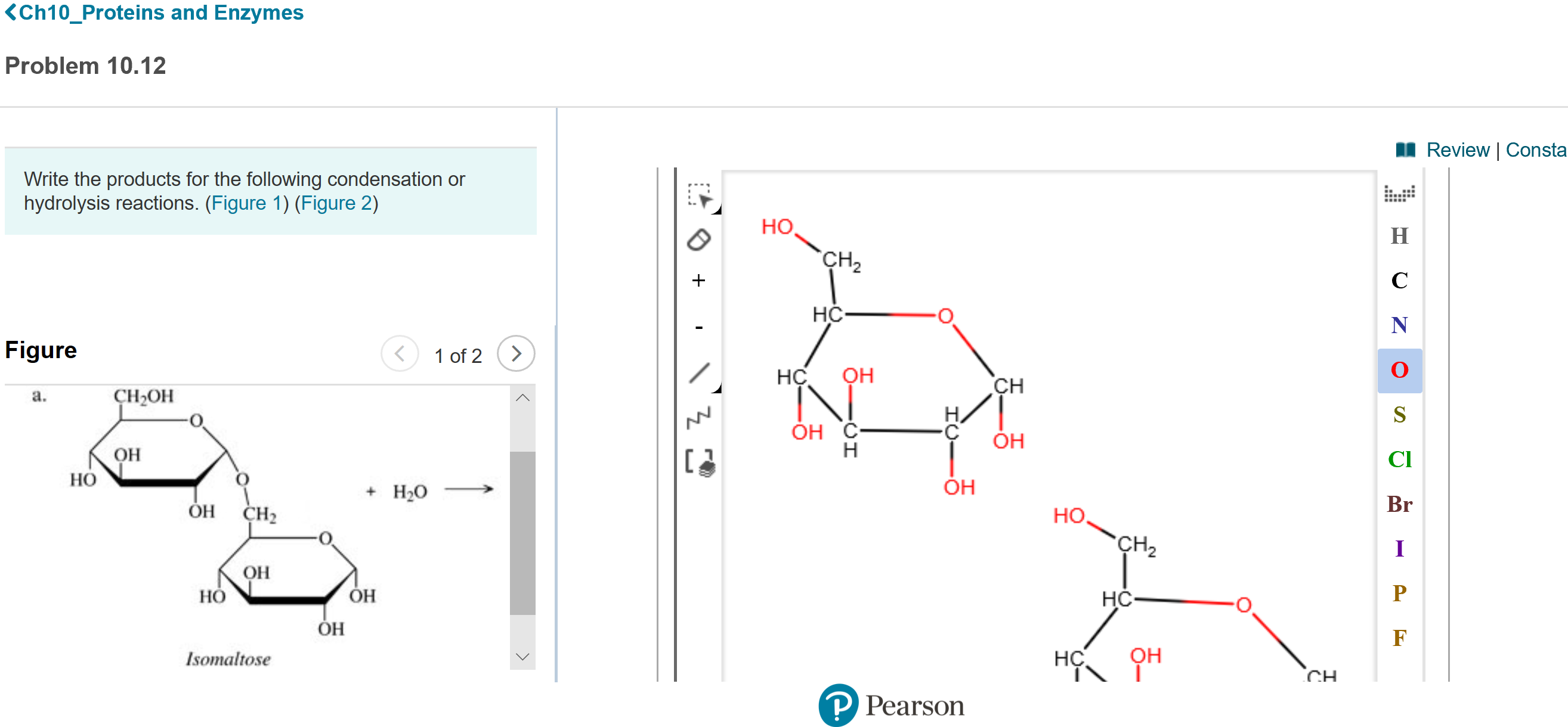 <Ch10_Proteins and Enzymes
Problem 10.12
Review | Consta
Write the products for the following condensation or
hydrolysis reactions. (Figure 1) (Figure 2)
но,
Н
сна
нс-
Figure
1 of 2
<>
НС.
он
CH
a.
CH-ОН
Он С-
н
Он
Он
CI
НО
+ H2O
Он
ОН
ҫH
но,
Br
"Cна
Он
Но
ОН
НС-
P
Он
Isomaltose
Он
CH.
P Pearson
エ
