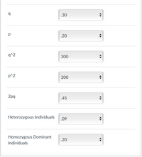 .30
.20
q^2
300
p^2
200
2pg
.45
Heterozygous Individuals
.09
Homozygous Dominant
.20
Individuals
