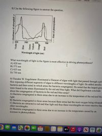 Mědia
Comment
8) Use the following figure to answer the question.
400
500
600
700
Wavelength of light (nm)
What wavelength of light in the figure is most effective in driving photosynthesis?
A) 420 nm
B) 575 nm
C) 625 nm
D) 730 nm
9) Theodor W. Engelmann illuminated a filament of algae with light that passed through a pri
thus exposing different segments of algae to different wavelengths of light. He added aerobic
bacteria and then noted in which areas the bacteria congregated. He noted that the largest grou
were found in the areas illuminated by the red and blue light. What did Engelmann conclude
about the congregation of bacteria in the red and blue areas?
A) Bacteria congregated in these areas due to an increase in the temperature of the red and blu-
light.
B) Bacteria congregated in these areas because these areas had the most oxygen being released
C) Bacteria are attracted to red and blue light and thus these wavelengths are more reactive than
other wavelengths.
D) Bacteria congregated in these areas due to an increase in the temperature caused by an
increase in photosynthesis.
MAY
22
tv
- Absorbance of chlorophyll a
---Rate of photosynthesis
