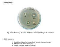 Observations:
201212
Van
Meth
Control
Amp
Fig. 1 Result showing the effect of different antibiotic on the growth of bacteria
Guide questions:
1. Based from figure 1 which antibiotic is most effective?Explain
2. Which is least effective? Explain
3. Explain the result of the control disc.
