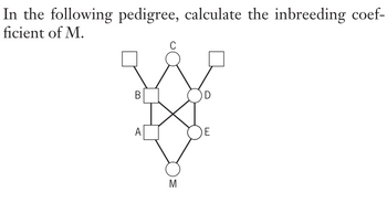 In the following pedigree, calculate the inbreeding coef-
ficient of M.
B
A
M
D
E