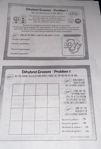 Answered: 88 1 Dihybrid Crosses - Problem 1 WELL… | Bartleby